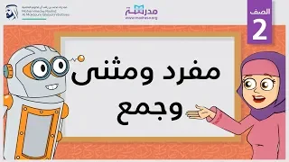 مفرد ومثنى وجمع | الصف الثاني | النحو