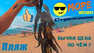 Стрелковое 2020 Арабатская стрелка почти Крым Азовское Море  Купаемся Пляж мало Людей! Сезон