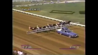 1999 Red Mile Lexington HAVE A GOOD LIFE