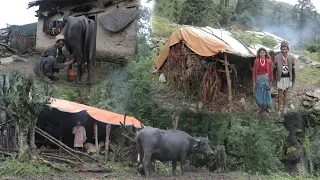 Surviving Life in the Nepali Mountains during the Rainy Season || IamSuman