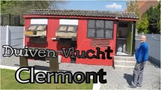 Duiven Vlucht Clermont!!