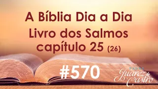 Curso Bíblico 570 - Livro dos Salmos 25 (26) - Justificação do inocente - Padre Juarez de Castro