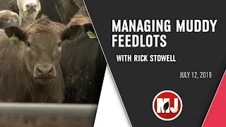 Managing Muddy Feedlots | July 12, 2019