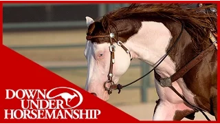 Clinton Anderson Presents: Titan a Legend in the Making, Lesson 8, Part 1 - Downunder Horsemanship