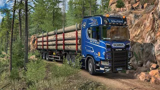 Timber Trucking Through Extreme Terrains Deep In The Forest | Scania R580 SUPER | #ets2 1.49