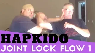 Hapkido Joint Lock Flow - 20 Locks