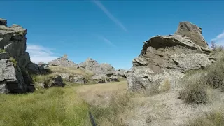 Spaniels hunt Rabbits 10 02 18