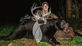 Best Bear Hunting Footage Ever! - Northern Wisconsin | Tenacious Hunter