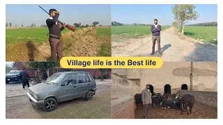 Village life is the Best life | Kot Radha KishanCity in Pakistan | Today we will go Hunting