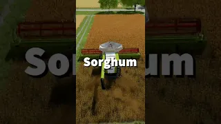 The BEST combine crop in Farm Sim 22?