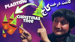 کاشت درخت کاج🌲Planning Christmas tree ❄