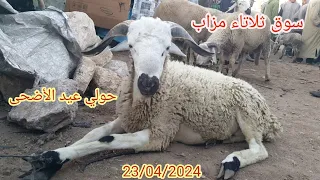 سوق ثلاثاء ولاد فارس مزاب 23/04/2024 مع ثمن حولي عيد الاضحى 🐑🐑