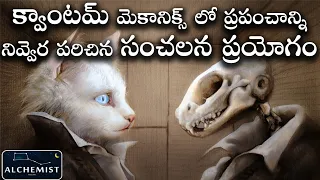 Schrödinger's Cat Experiment in Telugu Alchemist, Parallel Worlds,Quantum Mechanics