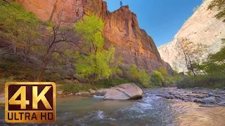 4K River Scenery - Riverside Walk Trail, Zion National Park - Trailer