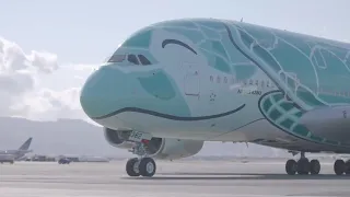 「世界一可愛い飛行機　ANA　FLYING HONU　２号機」（ANAのツイッターの動画とAlex Hの音楽を合体）