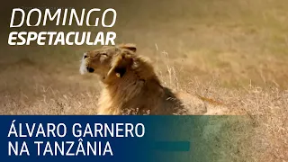 50 por 1: Álvaro Garnero mostra cratera onde vivem mais de 30 mil animais selvagens