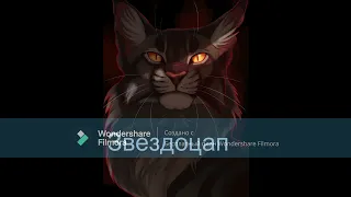 Cat Warriors по строчкам из песни "Предатель Лжец"