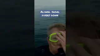 Aliwal Shoal Divers Down... #aliwalshoal #scuba #scubadiving #scubadivinglife #diving #oceans