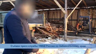 Группу «черных лесорубов» задержали в Забайкалье