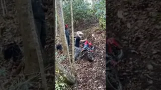 Honda Grom tries to hill climb!