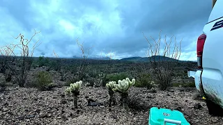 Kofa National Wilderness Refuge! #toyota #budgetbuild #camping #overlanding #arizona #gear #offroad