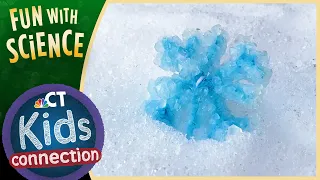 Fun With Science! How To Make A Snowflake In Your Kitchen | NBC Connecticut Kids Connection