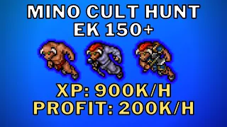 MINO CULT HUNT | (XP: 900K/H PROFIT: 200K/H) EK 150+ | TIBIA