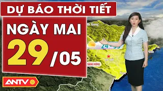 Dự báo thời tiết ngày mai 29/5: Bắc bộ nắng nóng diện rộng; Nam bộ đêm có mưa dông, ngày nắng | ANTV