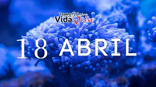 Tu tiempo con Dios 18 Abril de 2023 (2 Samuel 5:1-12)