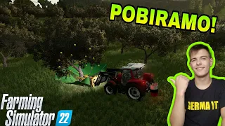 GREMO POBIRAT OLJKE! (UNDER THE HILL22) [FS22 SLO] / FARMING SIMULATOR 2022 /