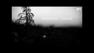 Depressive Black Metal Compilation