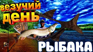 ★Я рыбак и это навсегда//Трофейная рыбалка//Рыбалка с юмором//Смешные рыбаки//Весёлая рыбалка 2020/★