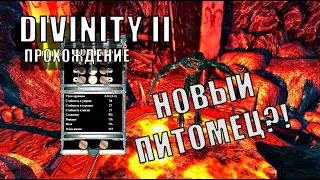 Divinity II - Прохождение | XII ЧАСТЬ | Мужик-курица и добрый некромант