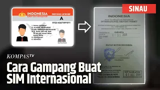 Simak, Ini Syarat dan Cara Membuat SIM Internasional | SINAU