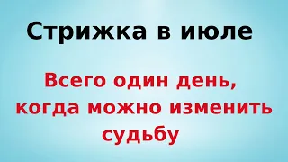 Стрижка в июле - всего один день, способен изменить судьбу.