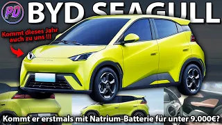 BYD SEAGULL - Does it launch with a Sodium-Batteriy for under 9.000€? Update 2023