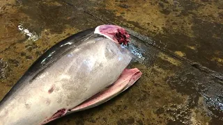 How to Quickly Cut a Bluefin Tuna in 3 Minutes