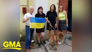 These volunteers rescue stray dogs in Ukraine and find homes for them in the US