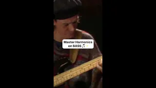 Master Harmonics on BASS 🎵✨