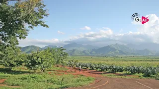 ADAI KUROGWA NA SHOGA AKE KIPENZI AAMBIWA SHOGA AMEMFUKIA CHINI YA MKUNGU