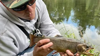 Missing the high country | Fly fishing Utah