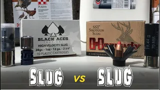 Who Has The Best Slug, Hornady or Black Aces?