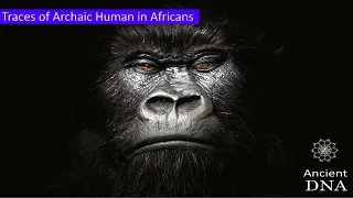 Traces of Archaic Human in Africans