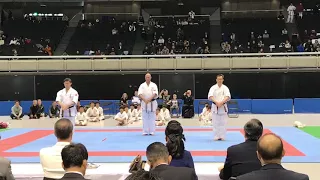 2017 kyokushinkan World Youth Karate Tournament Performance