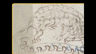 L'inviolato enigma del manoscritto Voynich