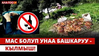 Мас болуп унаа башкаруу - кылмыш!