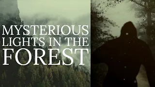 THE PARANORMAL BIGFOOT | Strange Things Are Happening in the Woods | Mountain Beast Mysteries 112