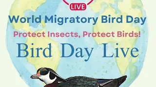 Bird Day Live 2024 - Creating Habitats for Insects and Birds