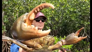 Checking 'MUD CRAB POTS' (Catch, Tie, Cook) - AUSTRALIA