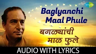 Baglyanchi Maalphule with lyrics | बगळ्यांची माळ फुले | Dr. Vasantrao Deshpande | Shrinivas Khale